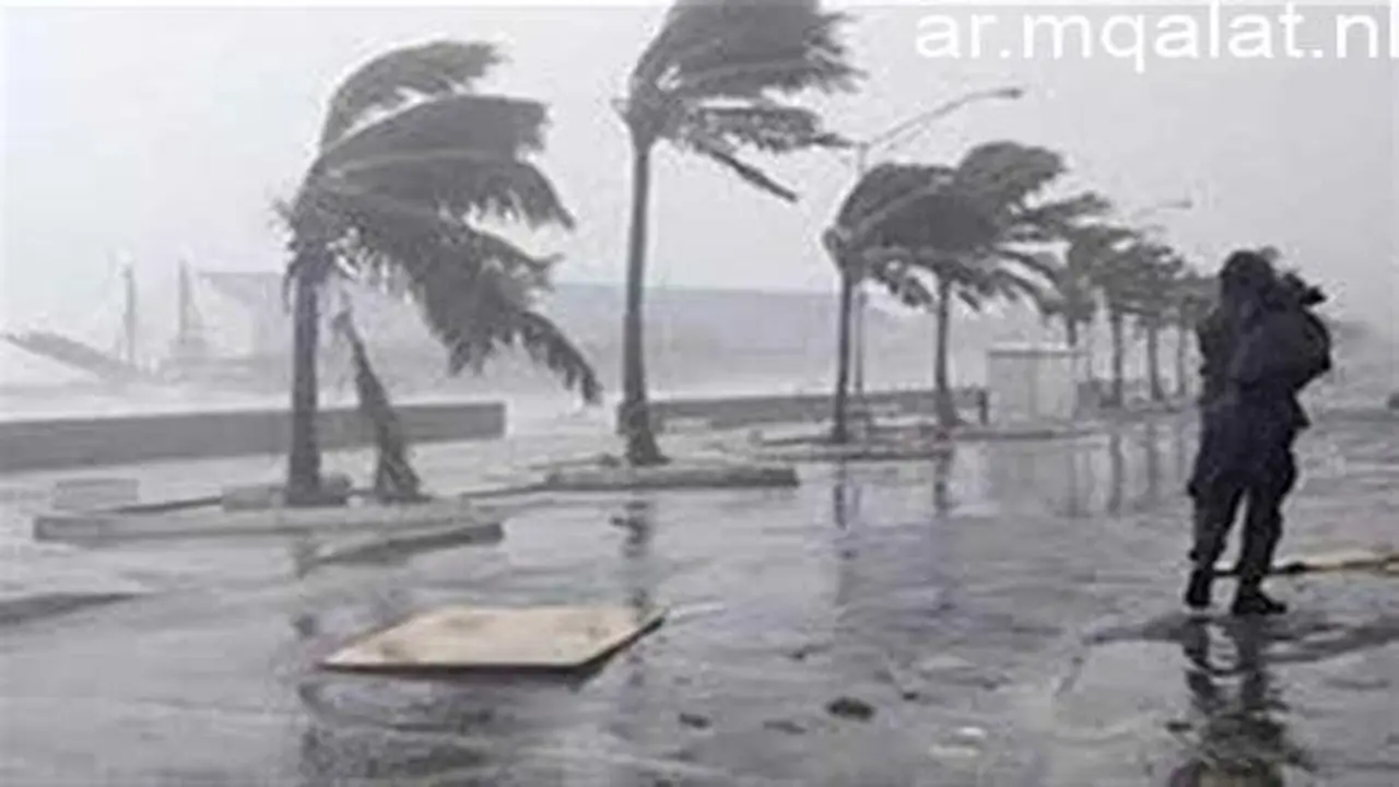 رياح مثيرة للأتربة.. الأرصاد تحذر من تقلبات جوية في 4 محافظات بمصر